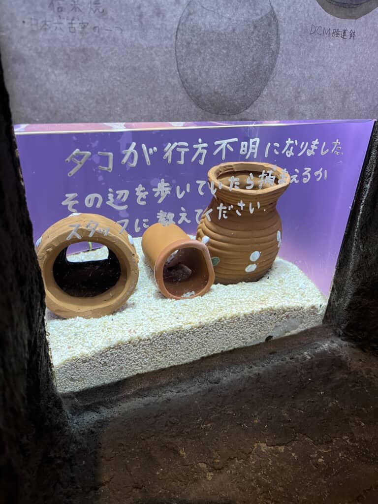 タコがいなくなった水槽。直接書かれたお願いがちょっと切ない