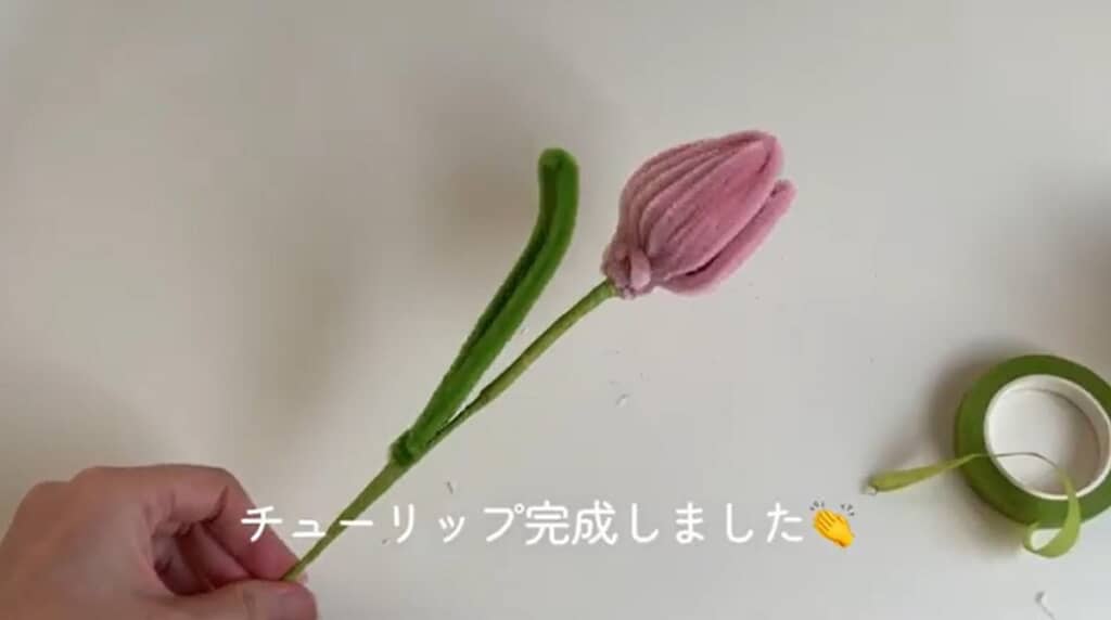 チューリップができました