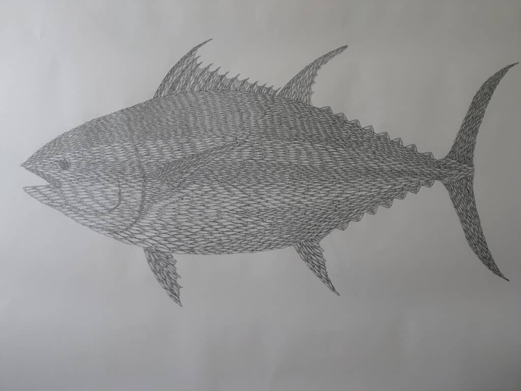 クロマグロの全体像