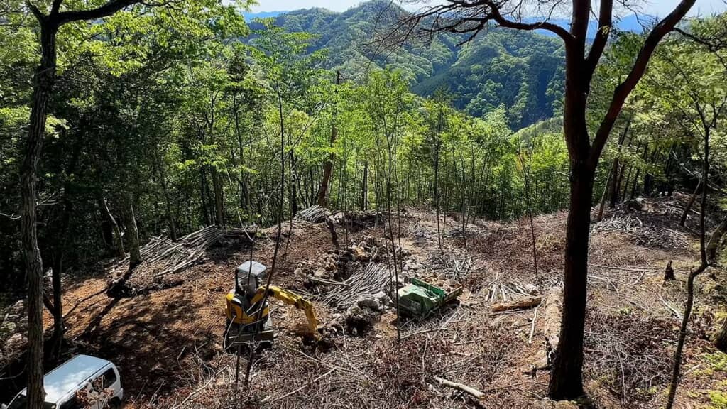 荒れた里山を切り開く投稿者