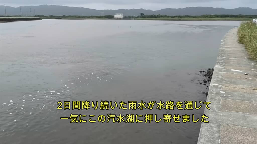 大量の雨水が流れ込んだ汽水湖