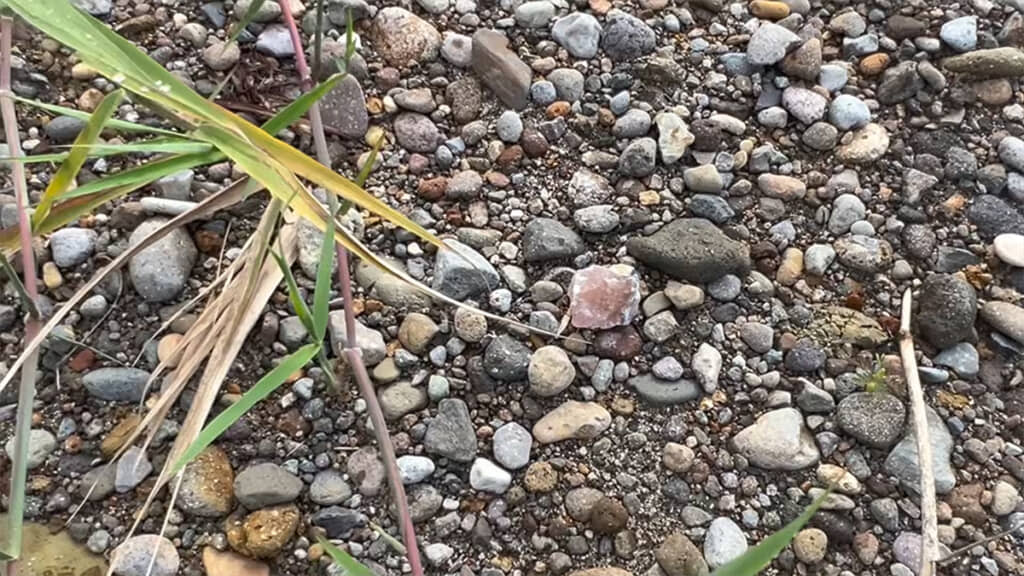 目の前にピンク色の石が