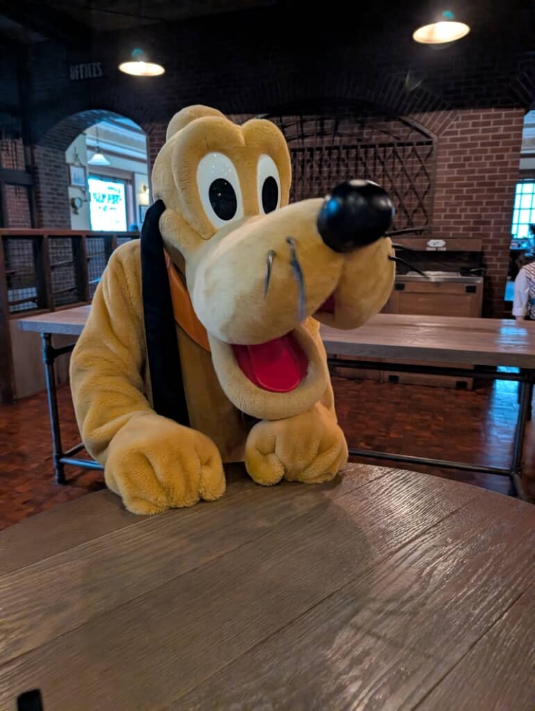 プルートが来てくれた!