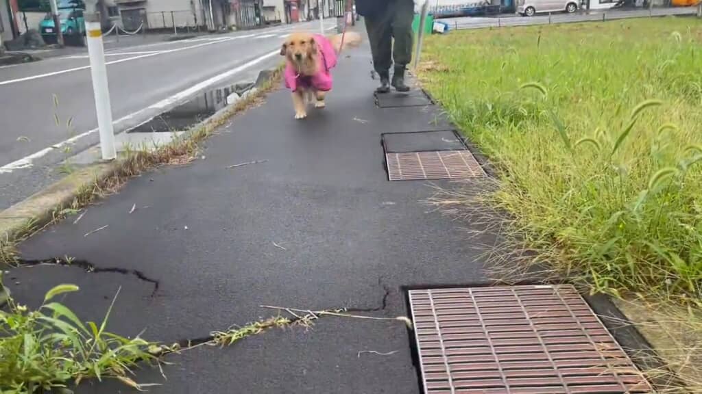 遠くからでもわかる量