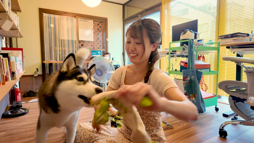 おやつ探しに満足しないちのちゃんと遊んであげる