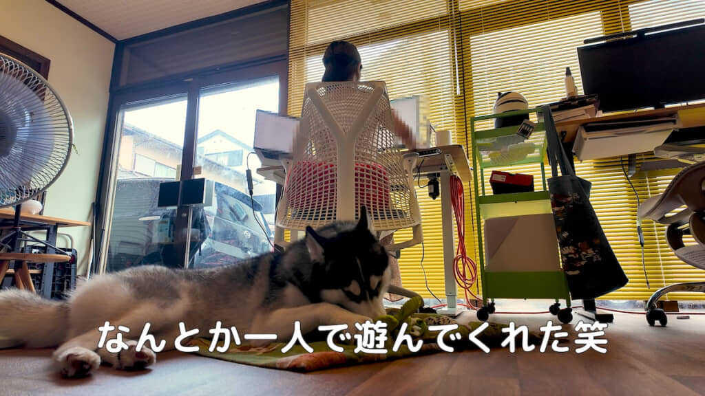 ひとり遊びを始めてくれた