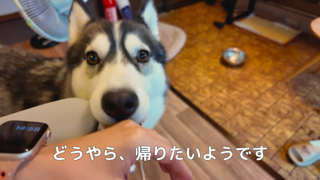 家に帰りたくなっちゃった