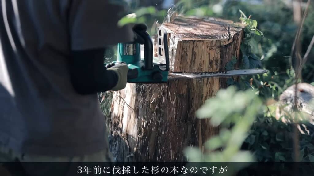 チェンソーで切り株の不要な部位をカット