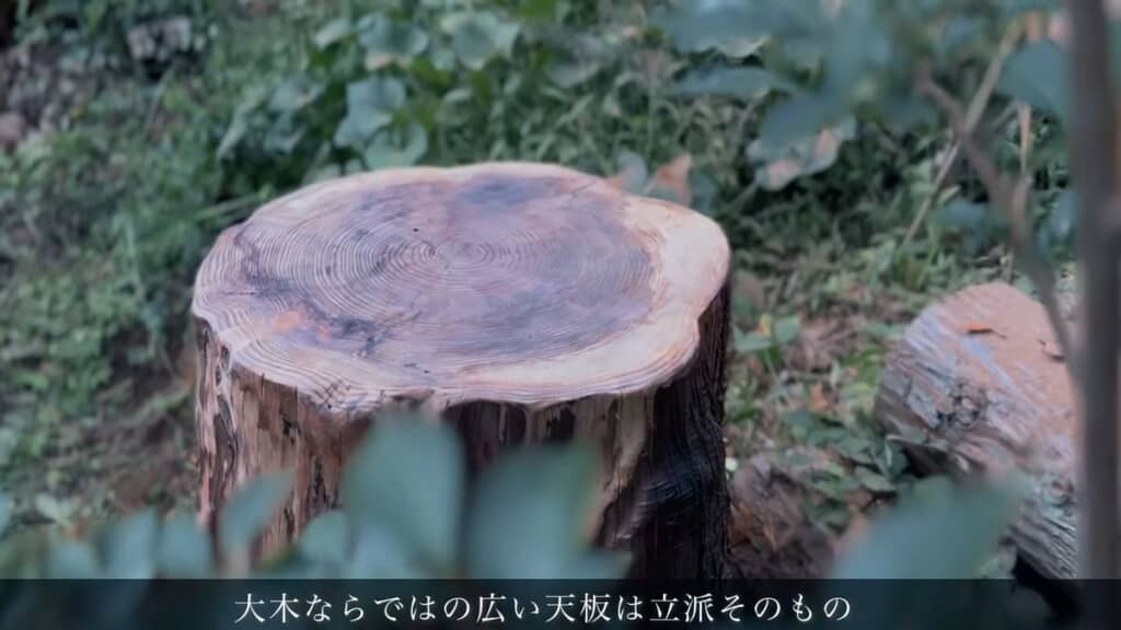 保護塗料を塗った切り株テーブル
