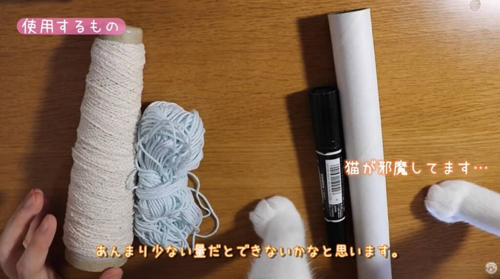 猫ちゃんも登場した材料紹介