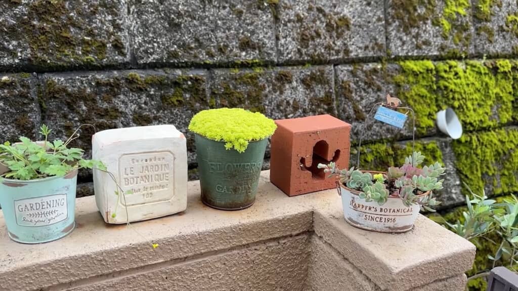 楽天やセリアで購入した植木鉢とオブジェ
