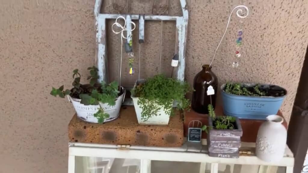 植木鉢や花瓶の多くは100円ショップで買ったものとのこと