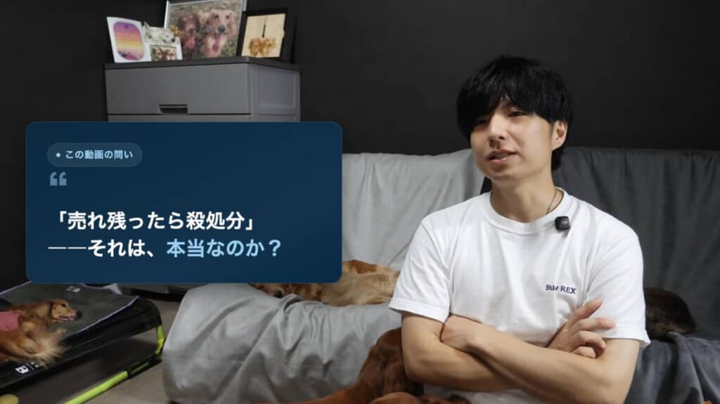 売れ残った犬は殺処分される?