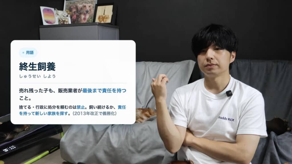 法改正後は業者が犬を自治体へ持ち込めなくなり終生飼養を義務化