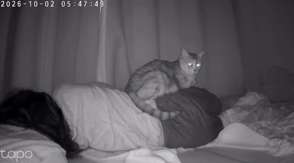 熟睡している飼い主さんの上に、イヴちゃんが！