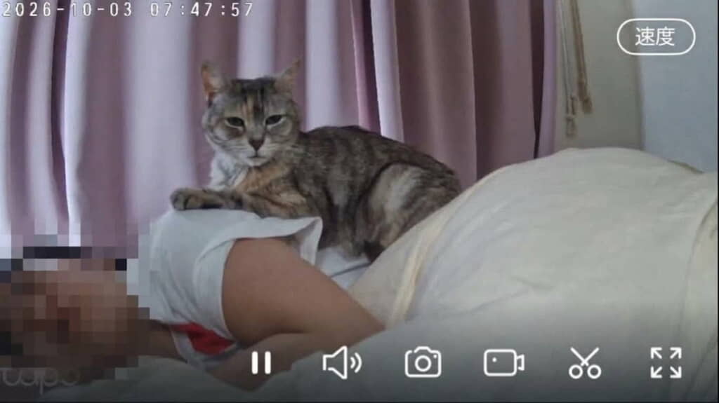 落ち着いていらっしゃる……
