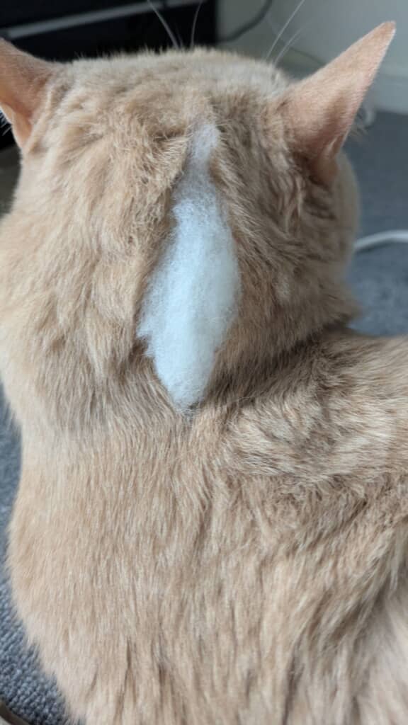 中身が出てますよ!?