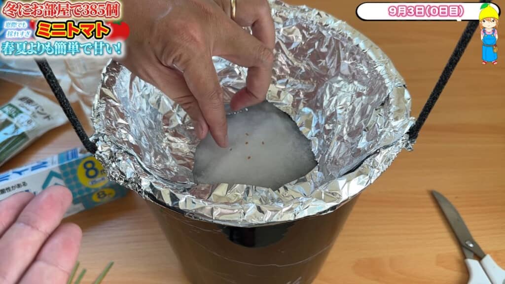 100均グッズで作った栽培容器に種をまく