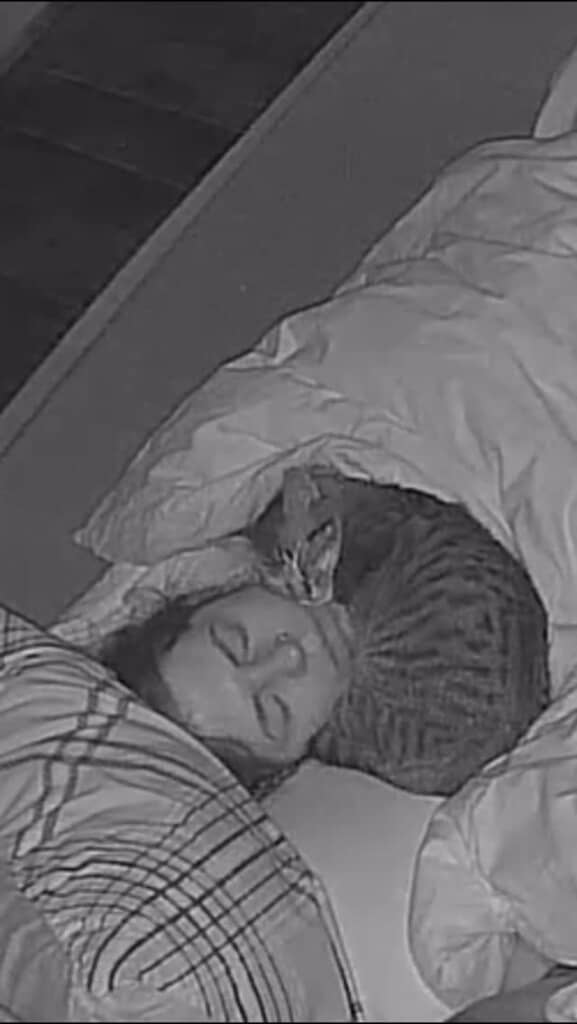 眠るジータさんの首元にぴったり収まるアッシュ