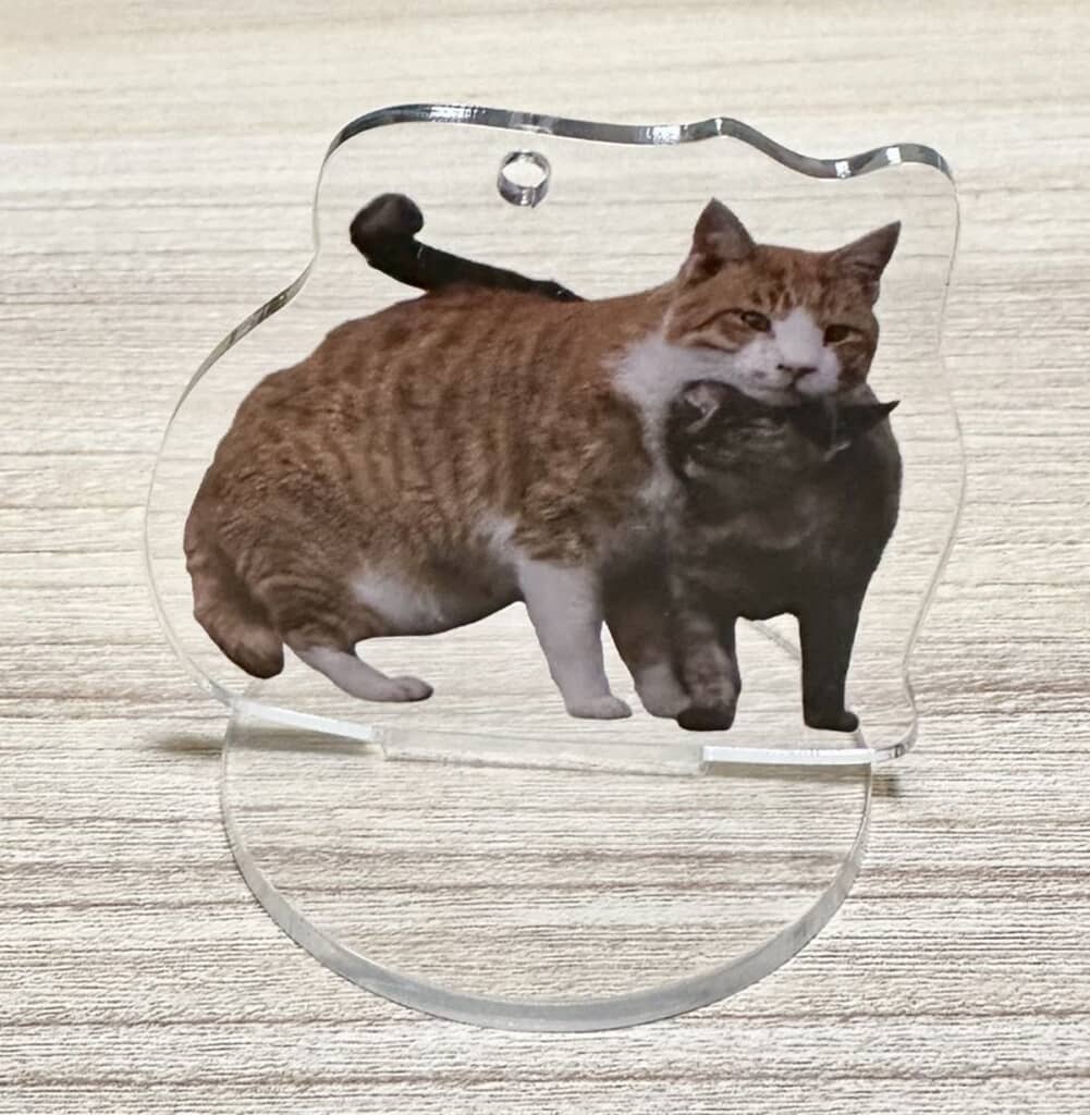 2匹の猫が寄り添う姿をデザインした付属のアクリルスタンド