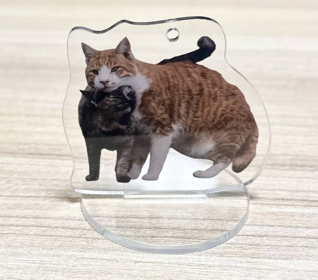 裏返すと猫たちの位置関係が変わり、別の表情を楽しめます