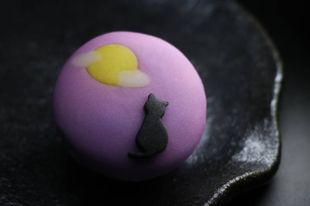 月を見上げる黒猫
