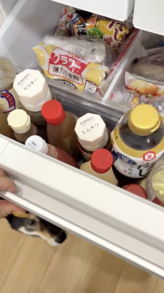 誰もいなかったはずの冷蔵庫の前に黒い何かが!?