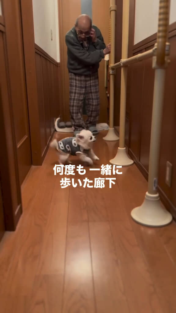 おじいちゃんと一緒に歩いた廊下も……
