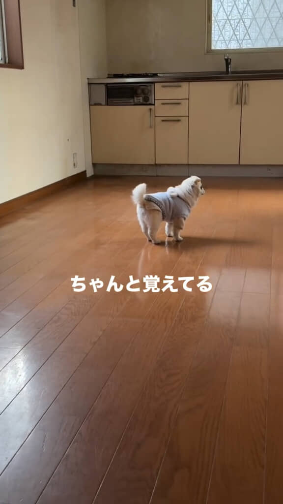 時々立ち止まって何かを考えこむような様子に