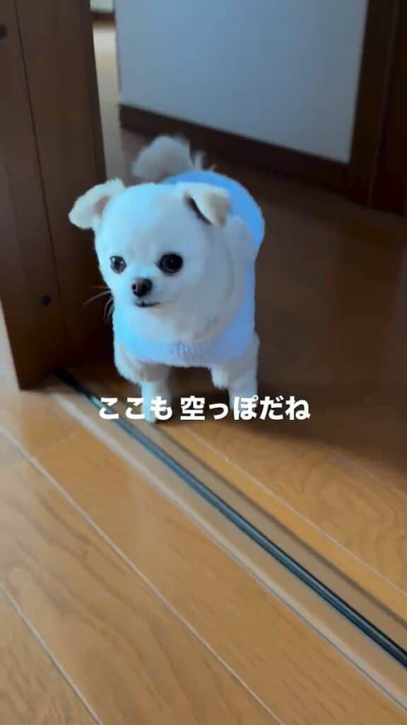 おじいちゃんの部屋の入り口でぼうぜんと固まる