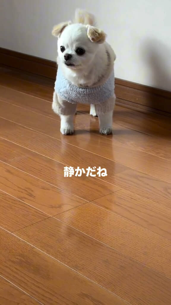 おじいちゃんがいた部屋の静けさに何を思っているのか……
