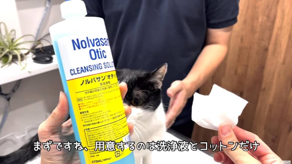 用意するものは洗浄液とコットンだけ