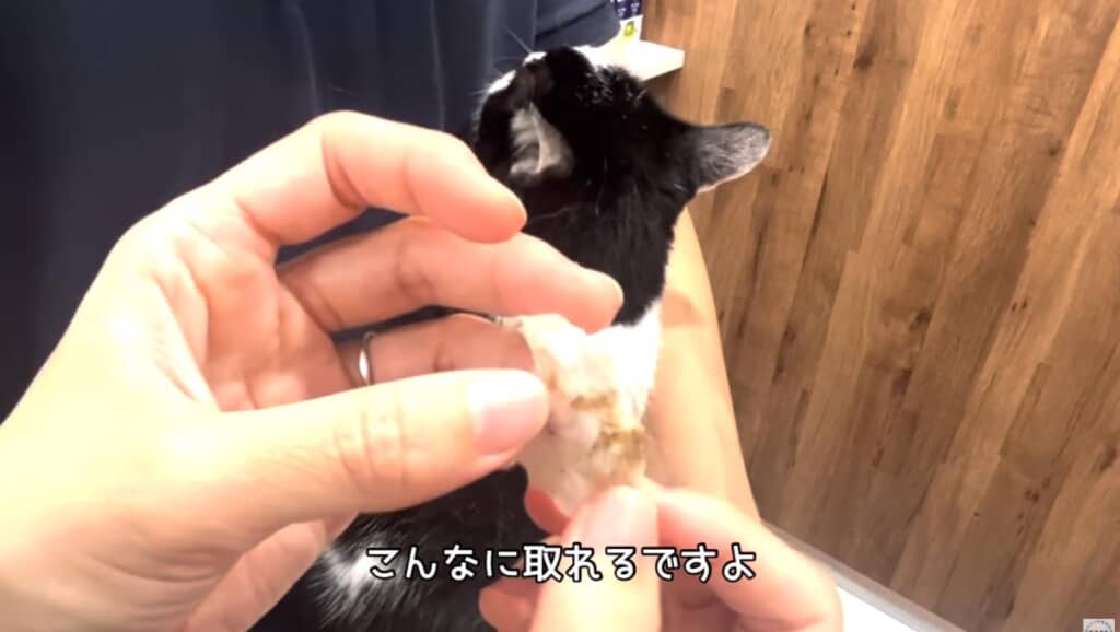 べったり汚れがゴッソリ