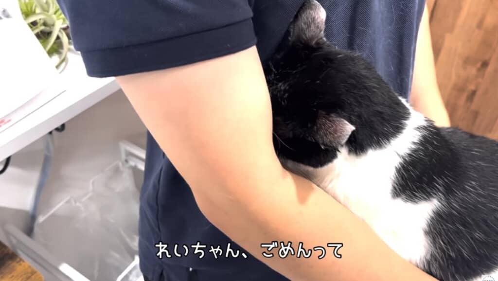 耳掃除が嫌いなれいちゃんは不機嫌に