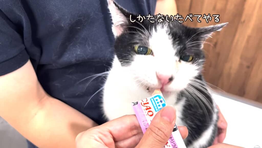 おやつで仲直り