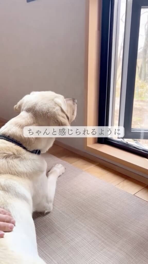 いつか家の中で過ごす時間が増えても、外を感じられるようにこの窓を設置しました