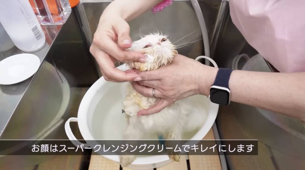 クレンジングクリームで汚れをうかします