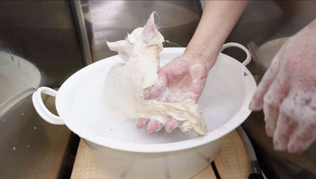 前足はのせてもらうだけ
