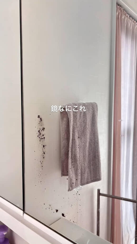 鏡には黒い斑点