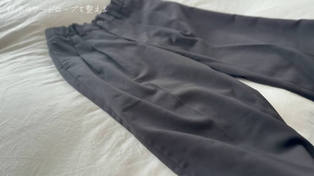 無印のポリエステル100%パンツは今年もはき続けます