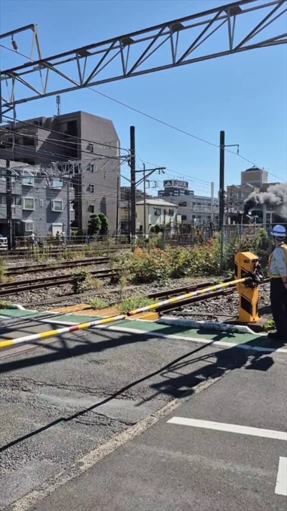 線路の向こうから現れたのは……！