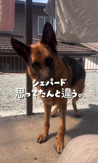 イメージとはギャップがありました