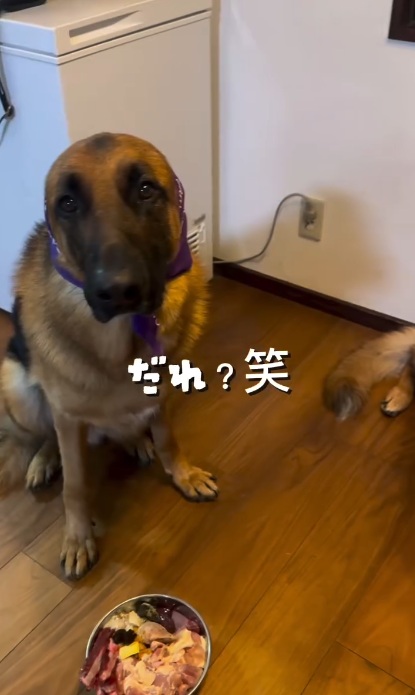 耳が見えないと印象がガラリ
