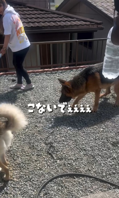 腰が引けちゃっています