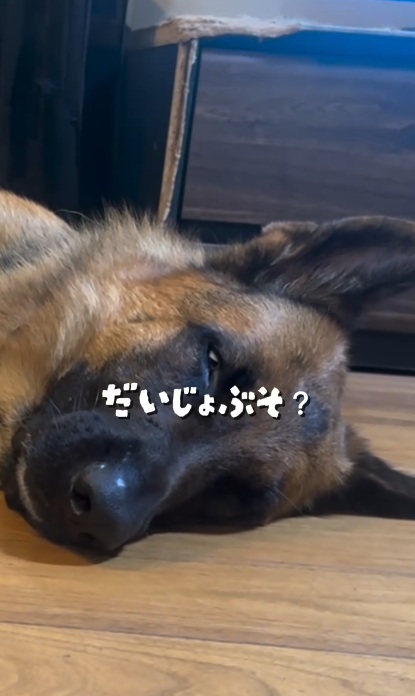 目が開いたまま熟睡