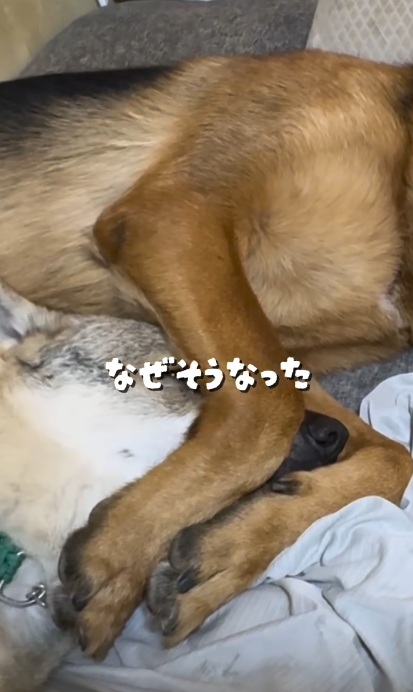 足の間に頭をイン
