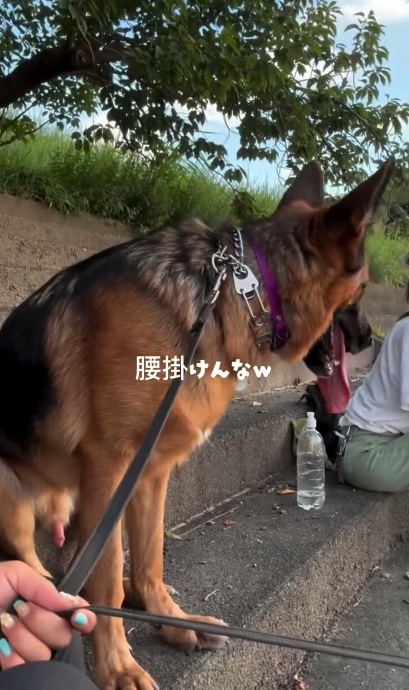 どこか人間臭い雰囲気です