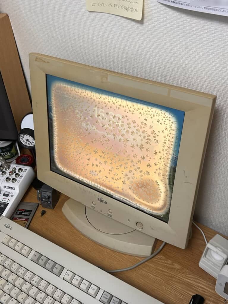「さっき角度変えて見たんすけど、カビでは無さそうっすね」