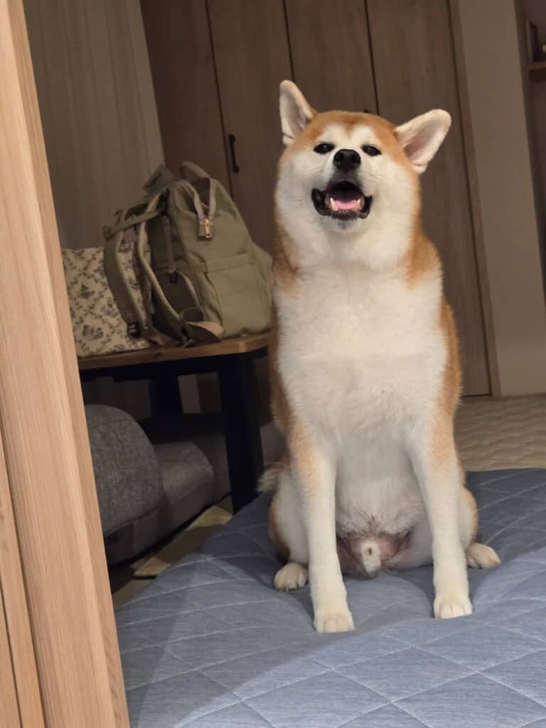 愛嬌たっぷりの笑顔