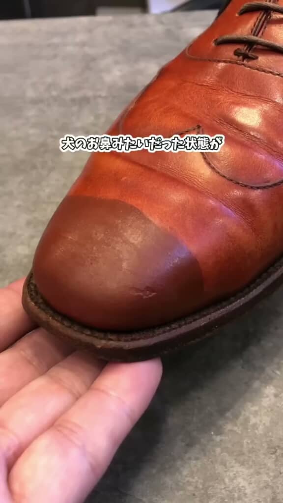 磨き直す前の、色の境目が明瞭な革靴